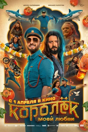 Королёк моей любви смотреть онлайн